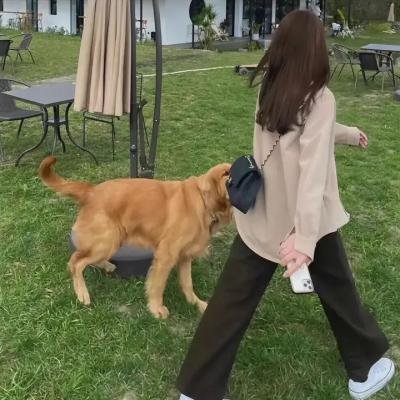 恐怖游泳馆